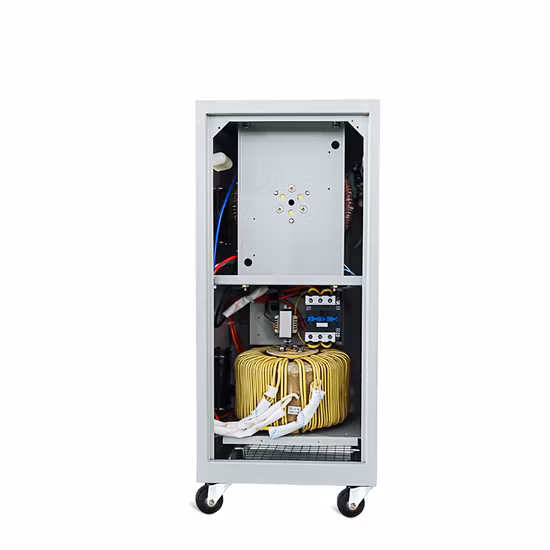Ttn 150-260V AVR Single Phase Servo Motor Cabinet Voltage Stabilizer AC Automatic Voltage Regulator