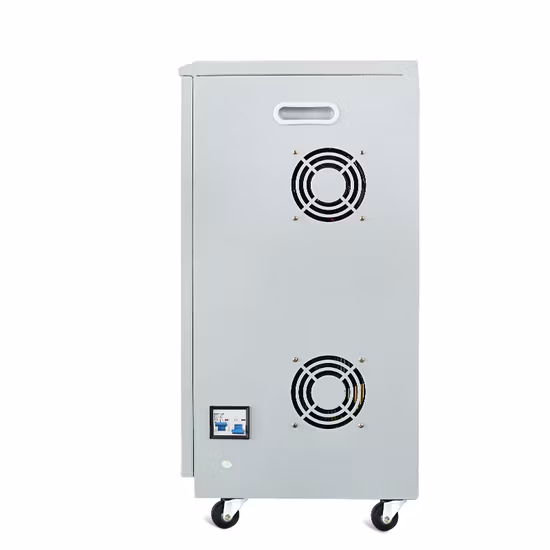 Ttn 150-260V AVR Single Phase Servo Motor Cabinet Voltage Stabilizer AC Automatic Voltage Regulator